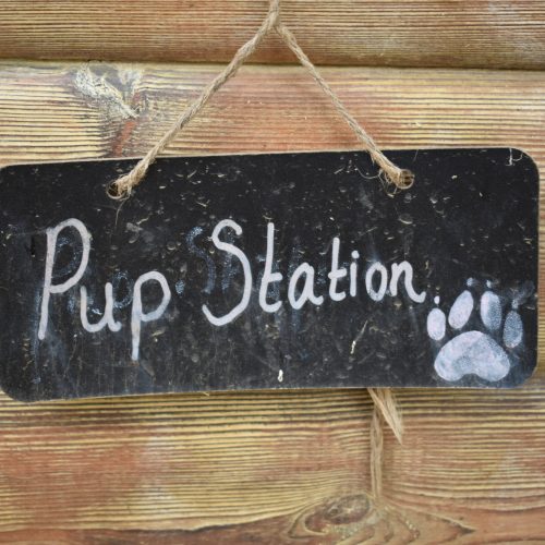 14 - pup station